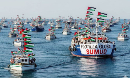 গাজামুখী ত্রাণবাহী জাহাজবহরকে আটকাতে ব্যর্থ ইসরায়েল