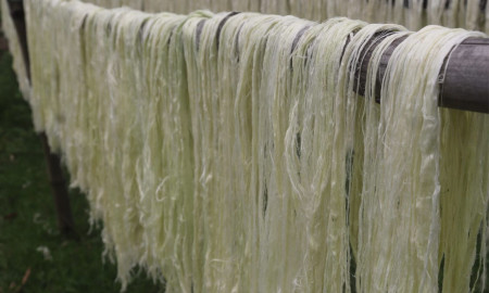 আনারস পাতায় সম্ভাবনা: ময়মনসিংহ-টাঙ্গাইলের সুতা যাচ্ছে  ইউরোপ-আমেরিকা