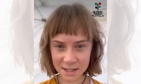 আমাকে অপহরণ করা হয়েছে, ভিডিও বার্তায় গ্রেটা থুনবার্গ