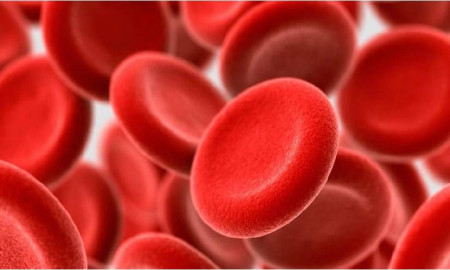 হিমোগ্লোবিনের অভাবে কী হয়, ১০ ধরনের খাবারে বাড়বে হিমোগ্লোবিন