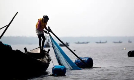 আজ থেকে ২২ দিন ইলিশ ধরা নিষিদ্ধ