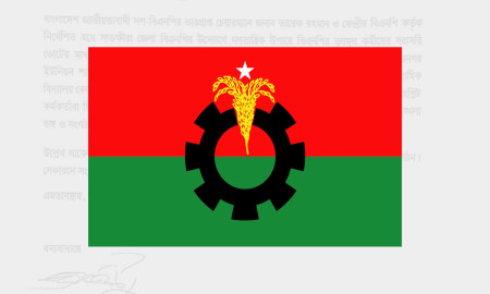 জাল ভোট দিতে গিয়ে ধরা, শাস্তি পেলেন বিএনপি নেতা