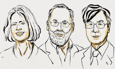 চিকিৎসায় নোবেল পেলেন ৩ বিজ্ঞানী