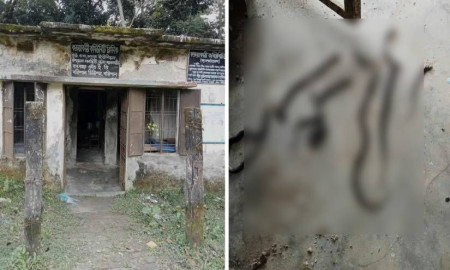 কমিউনিটি ক্লিনিকের ভবন থেকে সাতটি বিষধর সাপ উদ্ধার, আতঙ্কে স্বাস্থ্যকর্মীরা