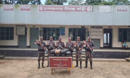 ফেনী সীমান্তে বিজিবির অভিযানে বিপুল পরিমাণ ভারতীয় মাদকদ্রব্য জব্দ