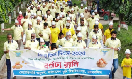 বাংলাদেশ কৃষি বিশ্ববিদ্যালয়ে বিশ্ব ডিম দিবস পালিত