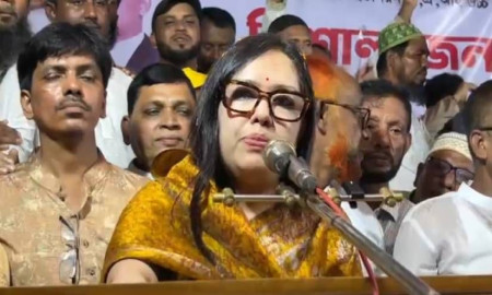 দেশে গণ্ডগোল লাগলে উপদেষ্টারা বিদেশে চলে যাবেন: রুমিন ফারহানা