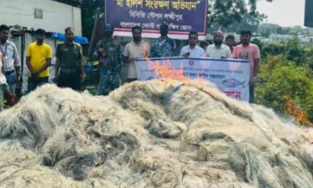 লক্ষ্মীপুরে নিষেধাজ্ঞা অমান্য করে মেঘনায় ইলিশ শিকার, দেড় লাখ মিটার জাল জব্দ