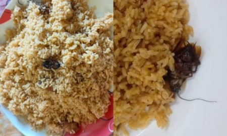 কুবি ক্যাফেটেরিয়ায় খাবারে তেলাপোকা, শিক্ষার্থীদের ক্ষোভ