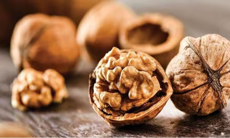 মস্তিষ্কের বিকাশে সাহায্য ছাড়াও সকালে আখরোট খেলে পাবেন যেসব উপকার