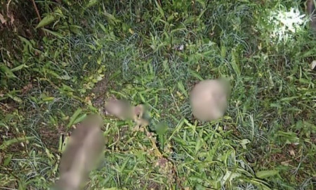 খালে মিলল মাথার খুলি-হাড়, নারী  নাকি পুরুষ— ধোঁয়াশায় পুলিশ