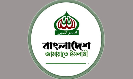 ‘নাহিদ ইসলামের কাছে এমন বালখিল্য বক্তব্য জাতি আশা করে না’