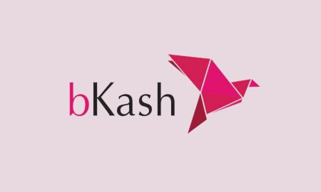 জনবল নিয়োগ দেবে বিকাশ লিমিটেড, আবেদন অনলাইনে