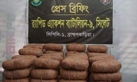 ১০৫ কেজি গাঁজাসহ মাদক ব্যবসায়ী গ্রেপ্তার