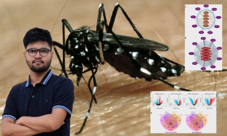 ৯টি নতুন জিন আবিষ্কার করেছেন রাবি শিক্ষার্থীরা, পেয়েছেন সম্ভাব্য ওষুধ