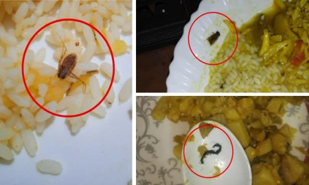 তিতুমীর কলেজের ছাত্রীনিবাসের খাবারে মিলল হরেক রকমের পোকা