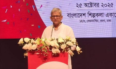 নিজামী, মীর কাসেম, সালাউদ্দিনকে মিথ্যা মামলায় মৃত্যুদণ্ড দেওয়া হয়েছে: মির্জা ফখরুল