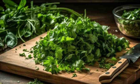 ধনেপাতা খেলে মিলবে যে ৮ উপকার