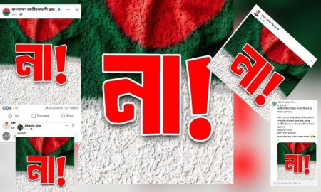 বিএনপি-ছাত্রদলের প্রোফাইল ‘না’ পোস্টারে সয়লাব, কারণ কী?