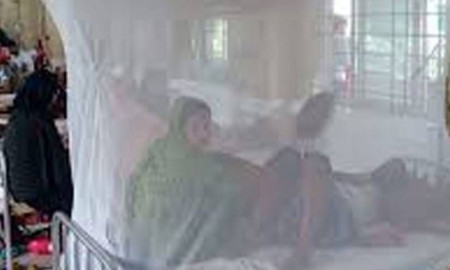 ময়মনসিংহে ডেঙ্গুতে একজনের মৃত্যু, হাসপাতালে ভর্তি ৭১