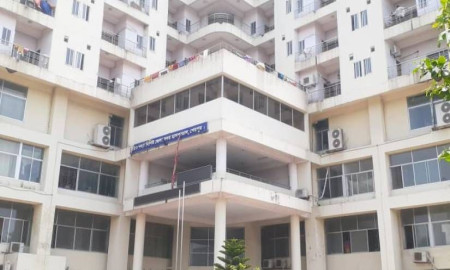 শিয়ালের কামড়ে আহত ২২ জন, চার গ্রামে আতঙ্ক