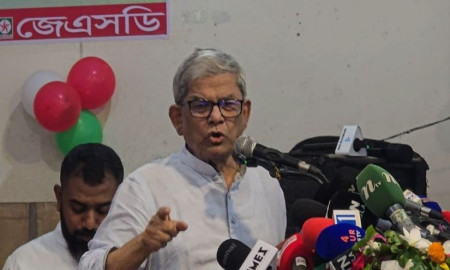 সরকার নিজেই দেশের বর্তমান সংকট সৃষ্টি করেছে: মির্জা ফখরুল