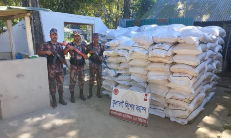সীমান্তে বিজিবির অভিযান: ২৪৫ বস্তা সার ফেলে পালাল পাচারকারীরা