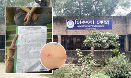 বিষধর সাপে কাটা ছাত্রীকে ডাক্তারের উল্টো প্রশ্ন ‘জঙ্গলে কেন গেছিলি?’, ঢাকা মেডিকেলে গিয়ে রক্ষা