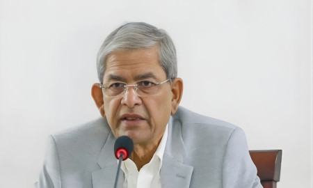 জাতীয় বিপ্লব ও সংহতি দিবস উপলক্ষে বিএনপির ১০ দিনের কর্মসূচি ঘোষণা