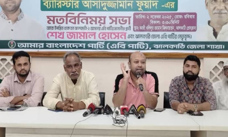 মুক্তির লড়াই কোনো আইন বা সংবিধান মেনে হয় না: ব্যারিস্টার ফুয়াদ