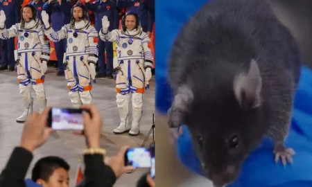 যে কারণে মহাকাশে ইঁদুর পাঠাল চীন