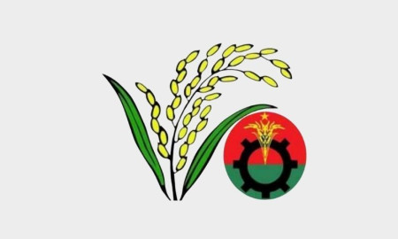 প্রথমবারের মতো বিএনপির মনোনয়ন পেলেন যারা