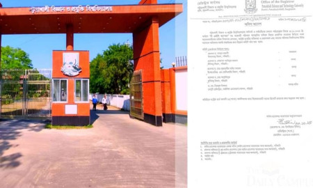 পবিপ্রবিতে পর্যায়োন্নয়নে অনিয়ম, ডেইলি ক্যাম্পাসের সংবাদের ভিত্তিতে তদন্ত কমিটি গঠন