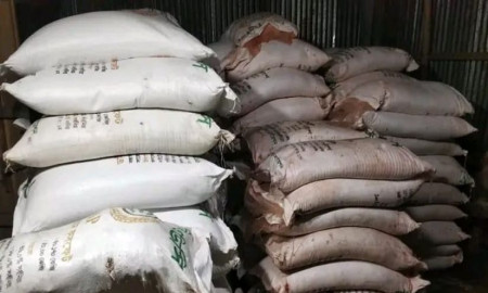 অবৈধভাবে মজুদ করা ১০৬ বস্তা সরকারি সার জব্দ