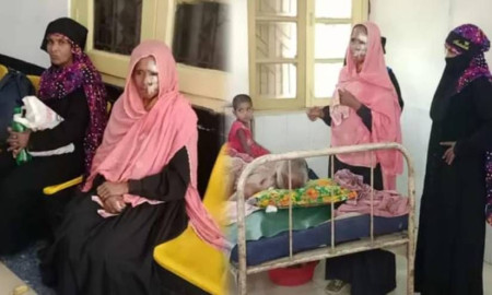 ময়মনসিংহে শিয়ালের কামড়ে আহত ১৭