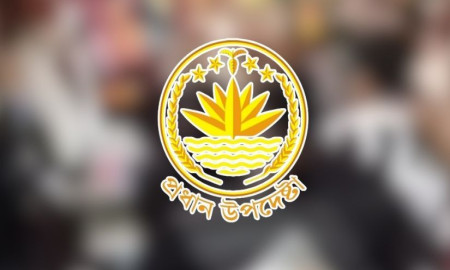 বিএনপির নির্বাচনী প্রচারণায় গুলির ঘটনায় নিন্দা জানাল অন্তর্বর্তীকালীন সরকার