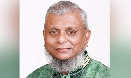 বিএনপির মনোনয়ন পেলেন সাবেক মেয়র আরিফুল হক