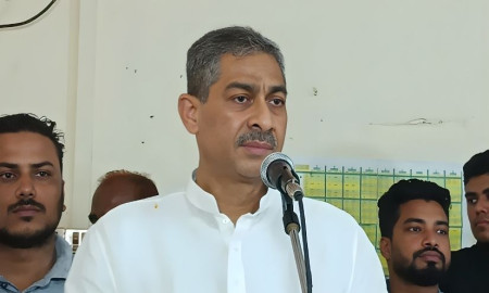 বিএনপির রাজনীতির মধ্যে রংধনু রয়েছে: এ্যানি