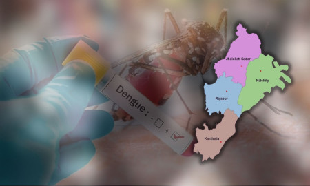 ঝালকাঠিতে ডেঙ্গুতে আক্রান্ত হয়ে ২ জনের মৃত্যু, হাসপাতালে ভর্তি ২৮ 