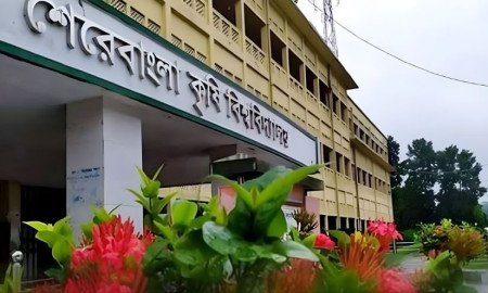 ফেসবুকে ধর্মীয় উস্কানি, শেকৃবি ছাত্রীকে এক সেমিস্টার বহিষ্কার