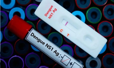   ডেঙ্গু ভ্যাকসিন কতটা কাজে দেয়, বাংলাদেশ কেন ব্যবহার করে না