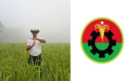 ধানক্ষেতে দাঁড়িয়ে বিএনপির মনোনয়নপ্রত্যাশীর ‘রিভিউ’—বললেন, জেন-জি স্টাইল