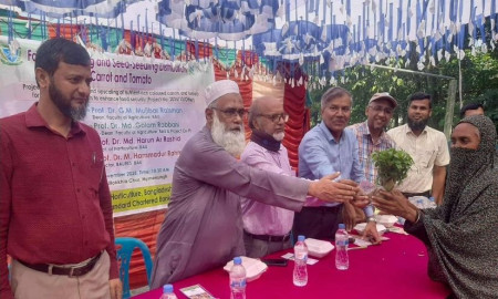 বাকৃবির উদ্যোগে কৃষকদের বিনামূল্যে উচ্চফলনশীল গাজর-টমেটোর বীজ বিতরণ