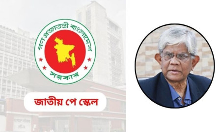 পে স্কেল নিয়ে অর্থ উপদেষ্টার বক্তব্যের প্রতিক্রিয়ায় যা বলছেন সরকারি কর্মকর্তা-কর্মচারীরা