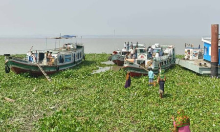 চরফ্যাশন লঞ্চঘাটে অতিরিক্ত টোল আদায়ের অভিযোগ, যাত্রীদের ক্ষোভ