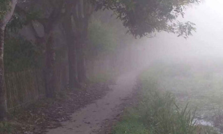 রাজধানীতে শীতের আমেজ, পঞ্চগড়ে তাপমাত্রা নামল ১৪ ডিগ্রিতে