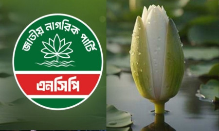 ৯ দিনে যত মনোনয়ন ফরম বিক্রি করল এনসিপি
