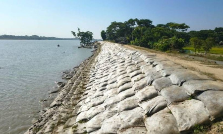 ঘূর্ণিঝড় সিডরের ১৮ বছর : আজও ক্ষত বয়ে বেড়াচ্ছে উপকূলবাসী