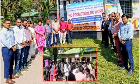 পদোন্নতির দাবিতে কর্মবিরতি প্রভাষকদের, পরীক্ষা দিতে এসে ফিরে গেলেন শিক্ষার্থীরা