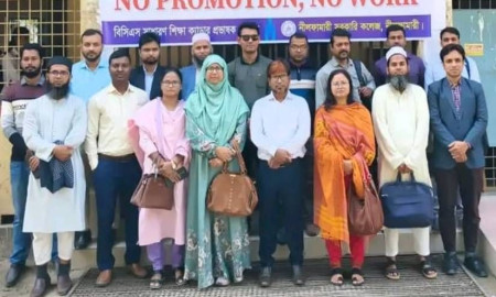 নীলফামারীতে পদোন্নতির দাবিতে বিসিএস ক্যাডারদের কর্মবিরতি